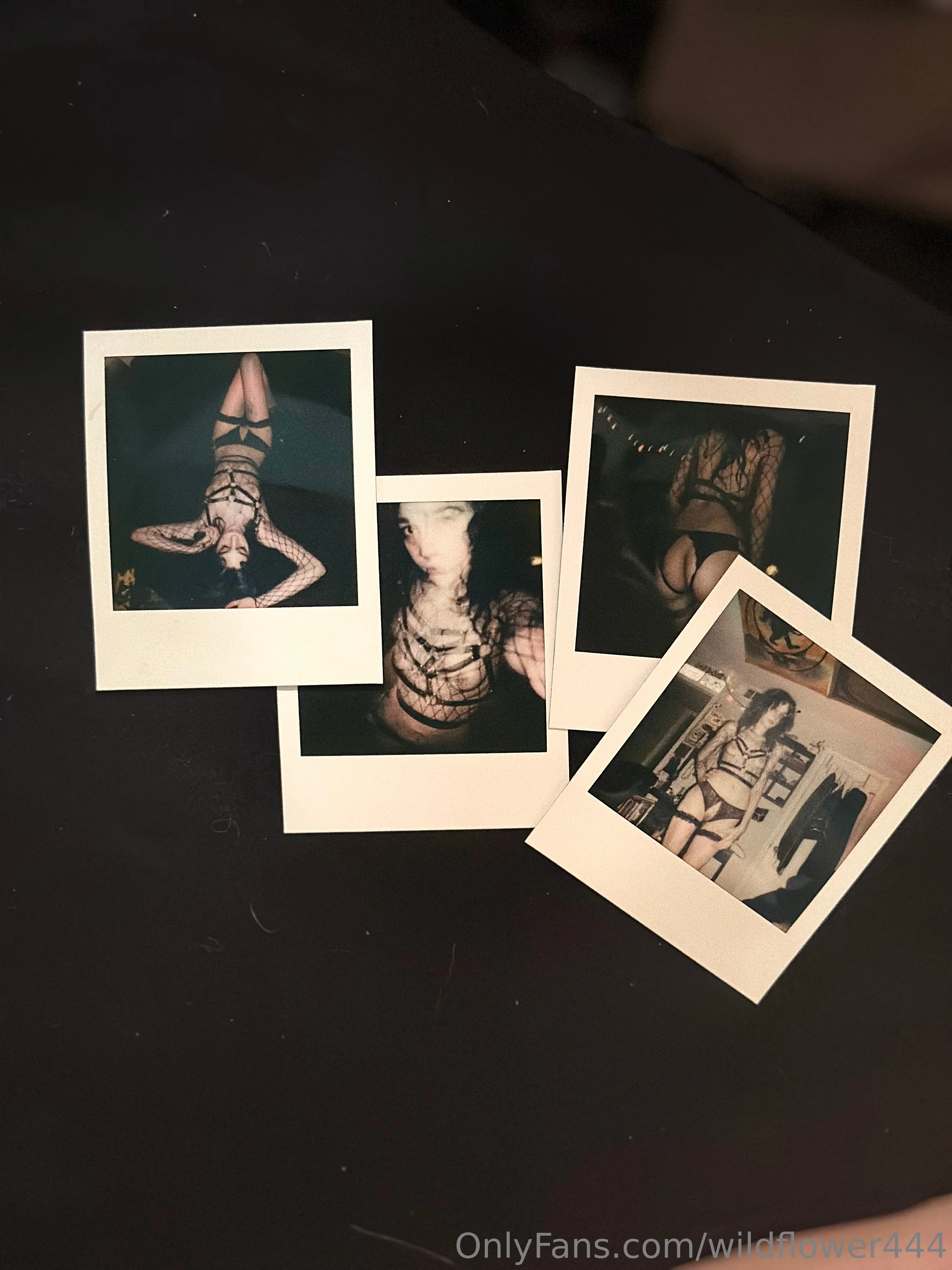 wild flower OnlyFans free account photo 20 - wildflower444 nudes and sex tapes