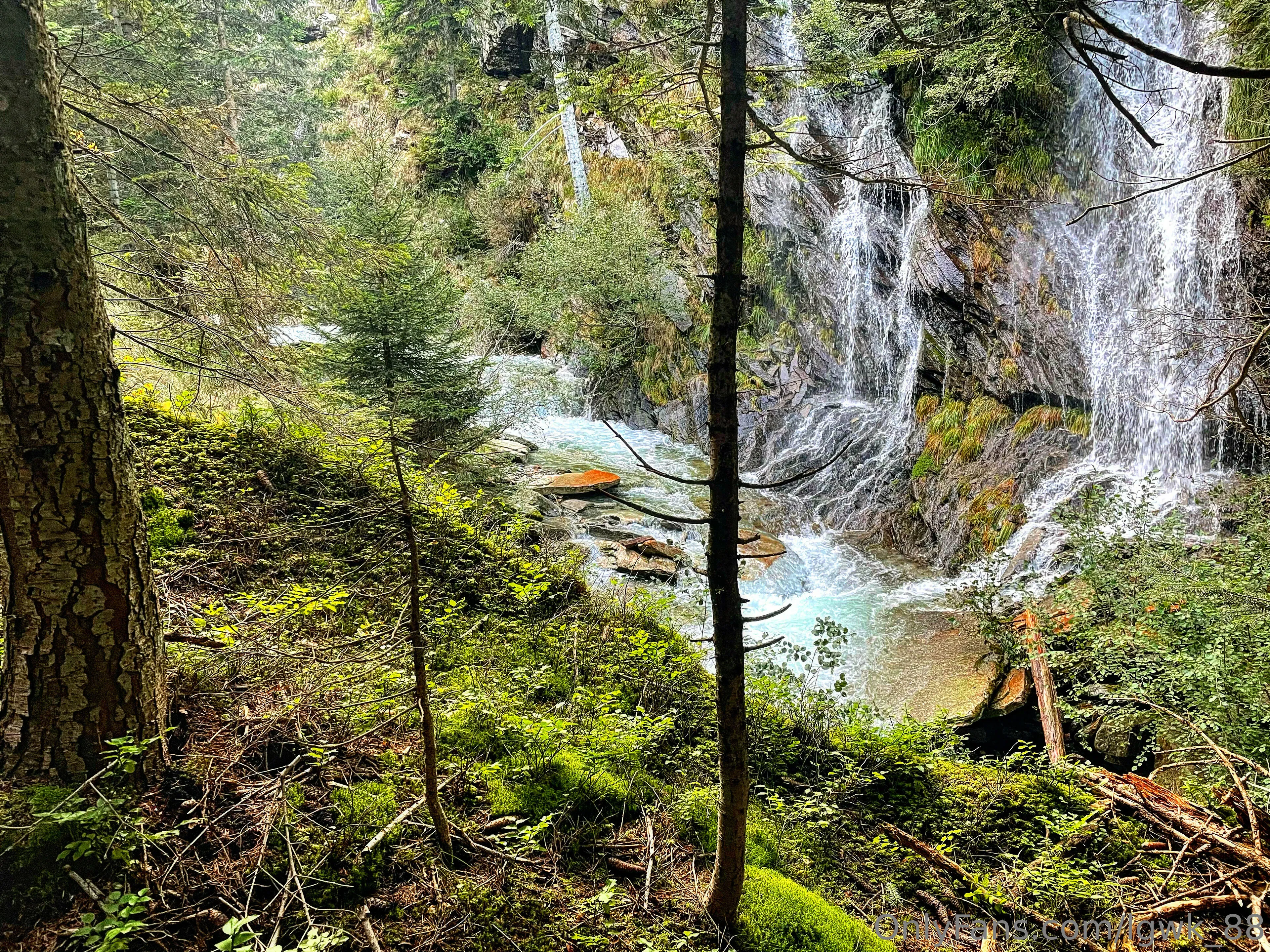 Lorenzo OnlyFans free account photo 1 - lgwk_88 nudes and sex tapes