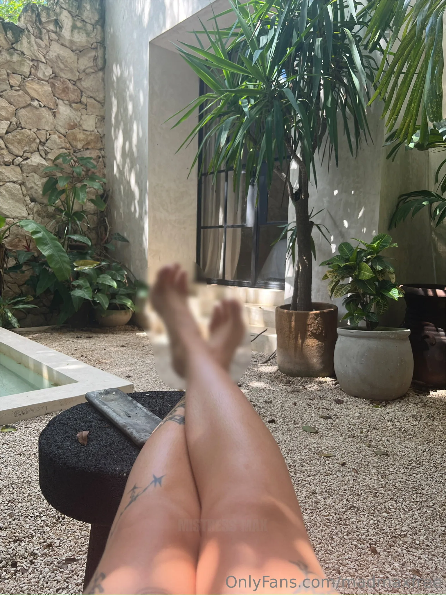 Mistress Max 🔐 OnlyFans free account photo 36 - madmaxfree nudes and sex tapes