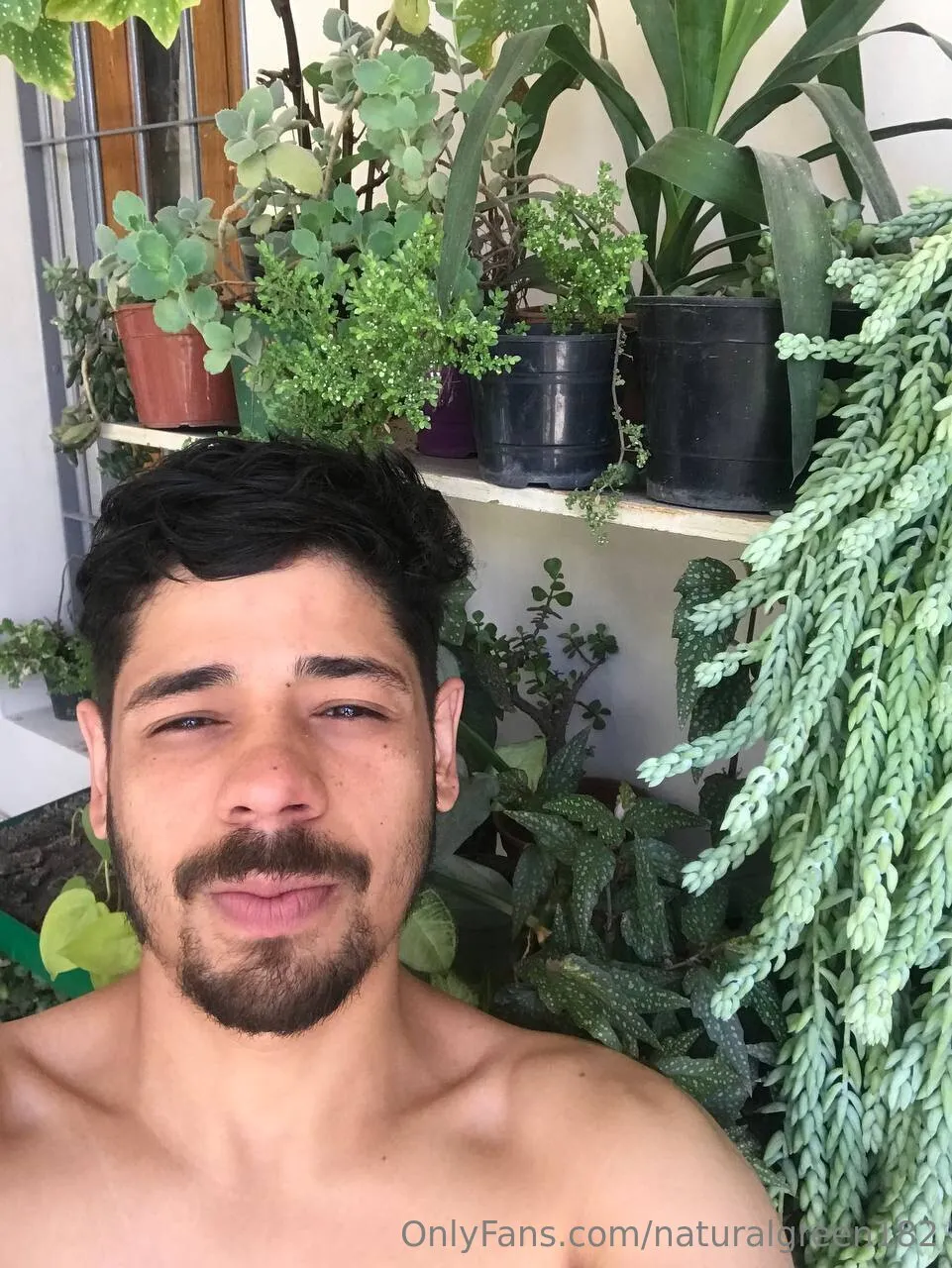 Natural Green OnlyFans free account photo 14 - naturalgreen182 nudes and sex tapes