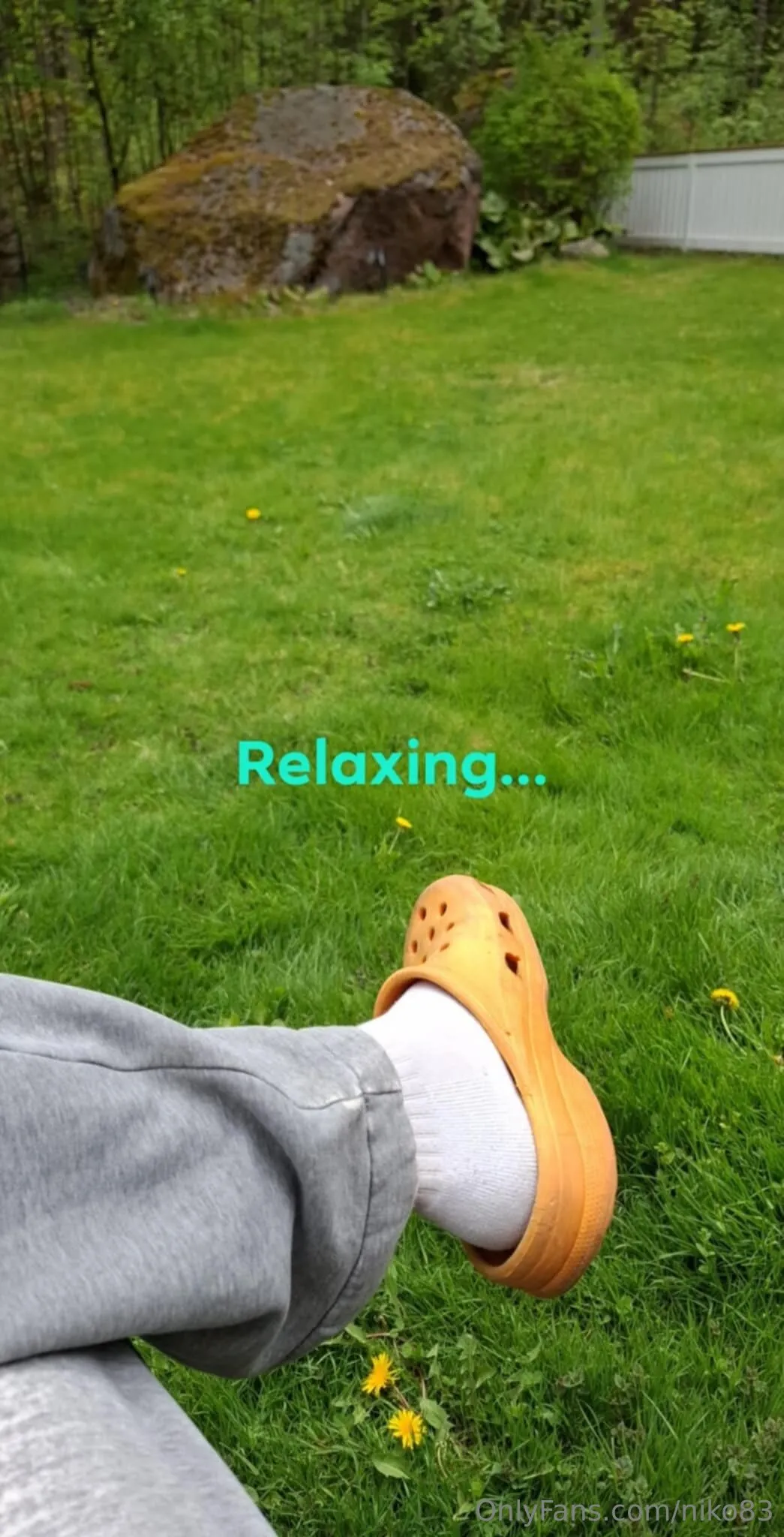 Niko OnlyFans free account photo 2 - niko83 nudes and sex tapes