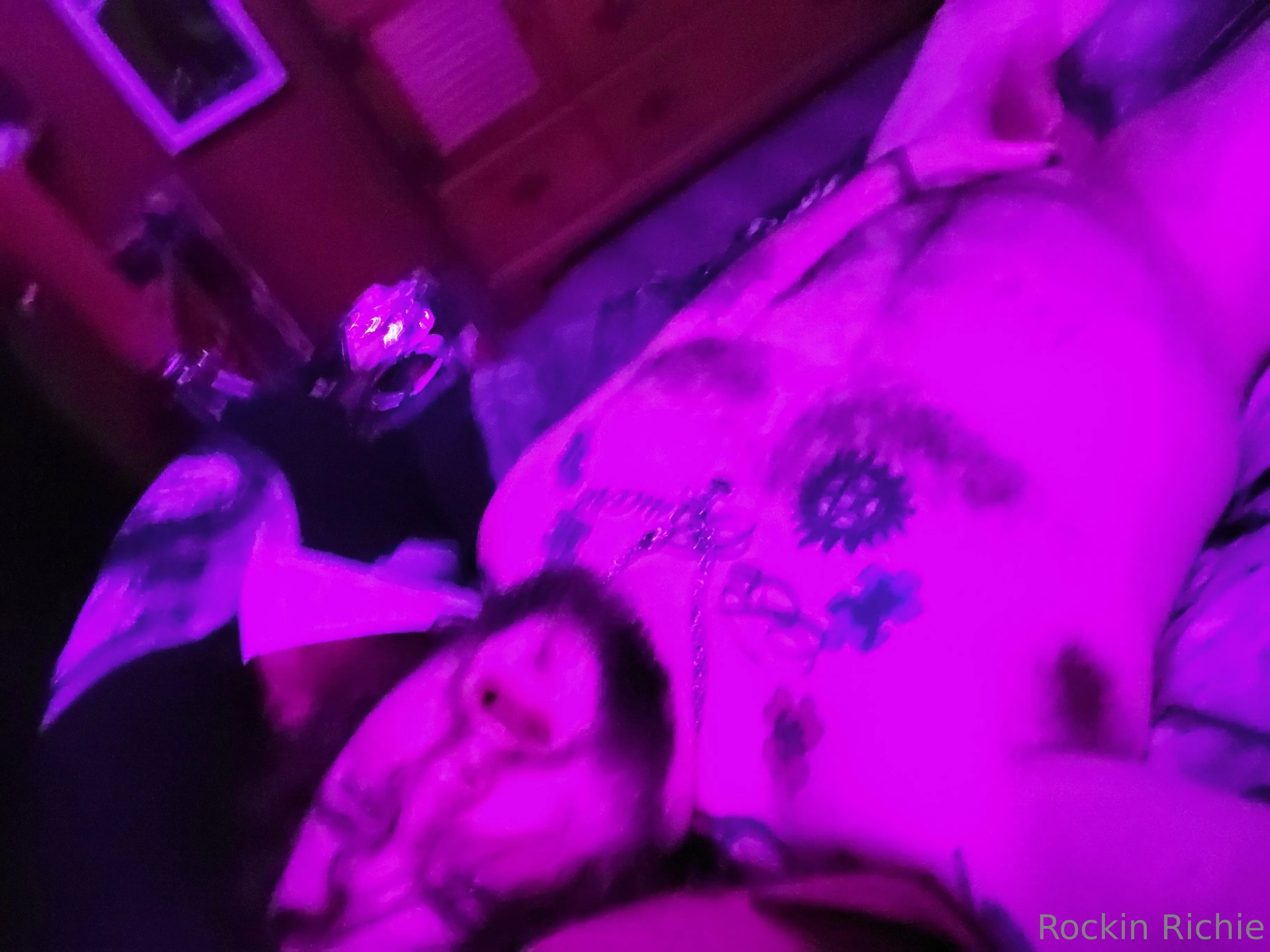 Rockin Richie OnlyFans free account photo 25 - rocknroller669 nudes and sex tapes