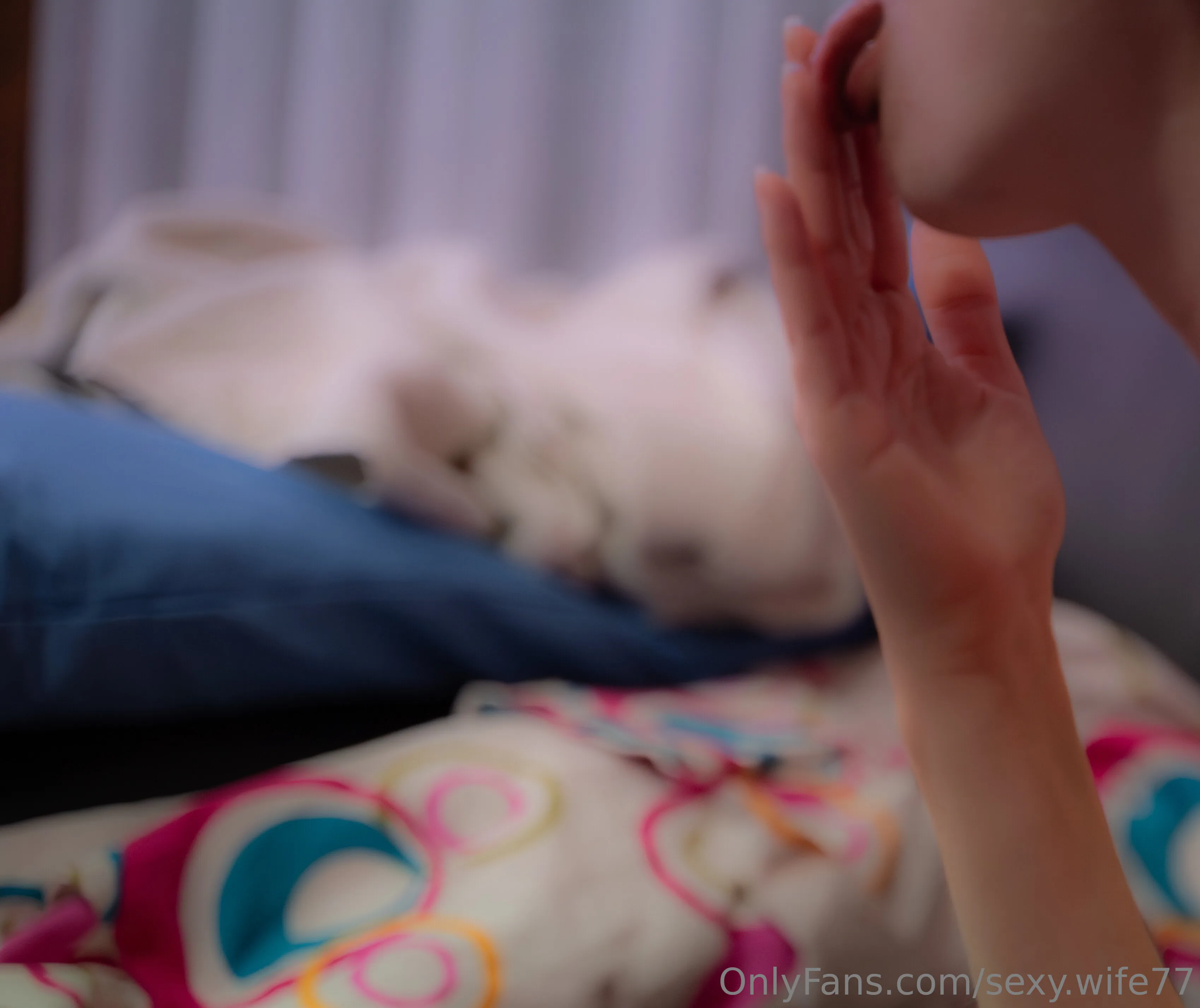 Eva OnlyFans free account photo 5 - sexy.wife77 nudes and sex tapes