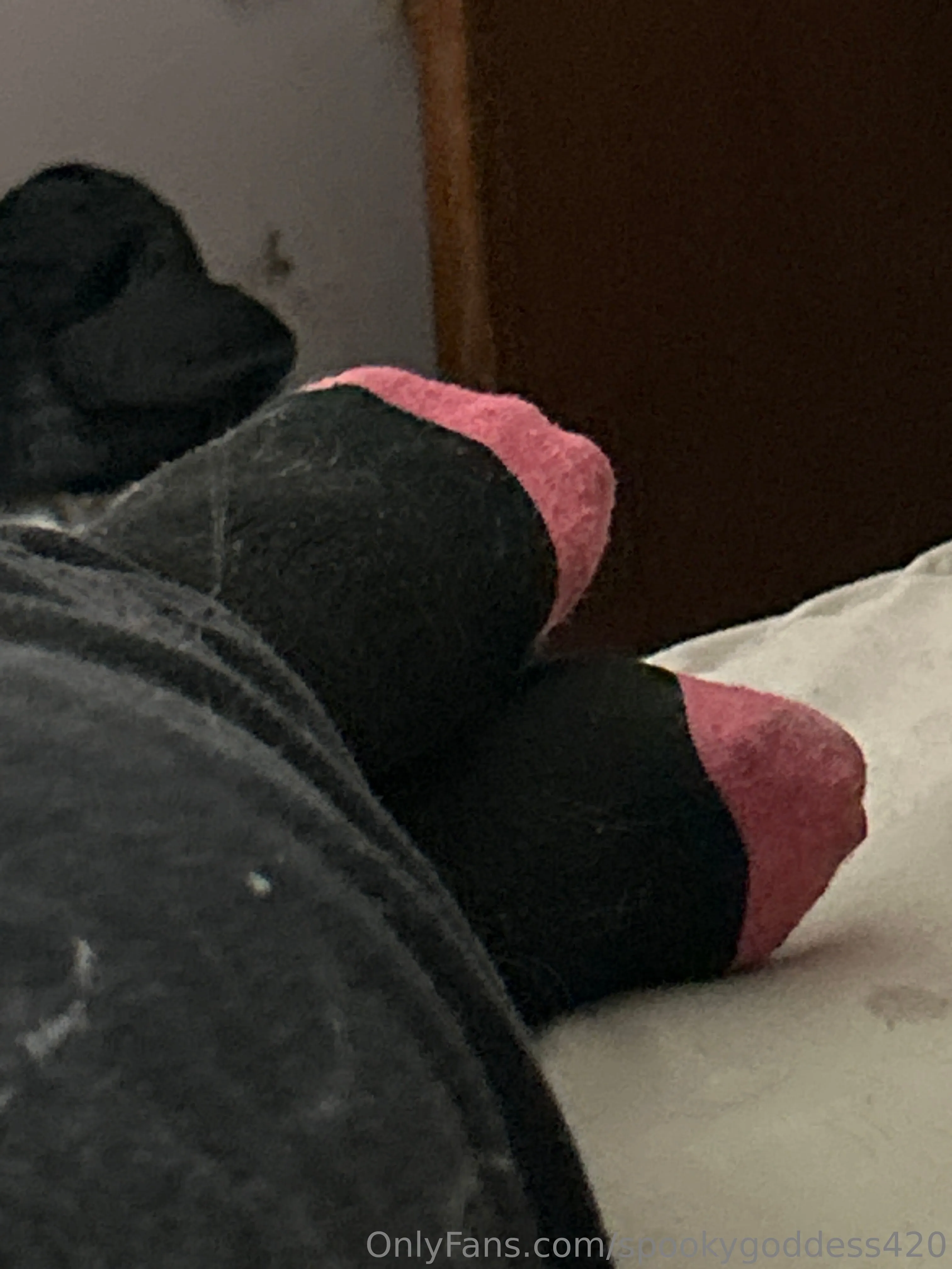 SpookyGoddess420 OnlyFans free account photo 13 - spookygoddess420 nudes and sex tapes