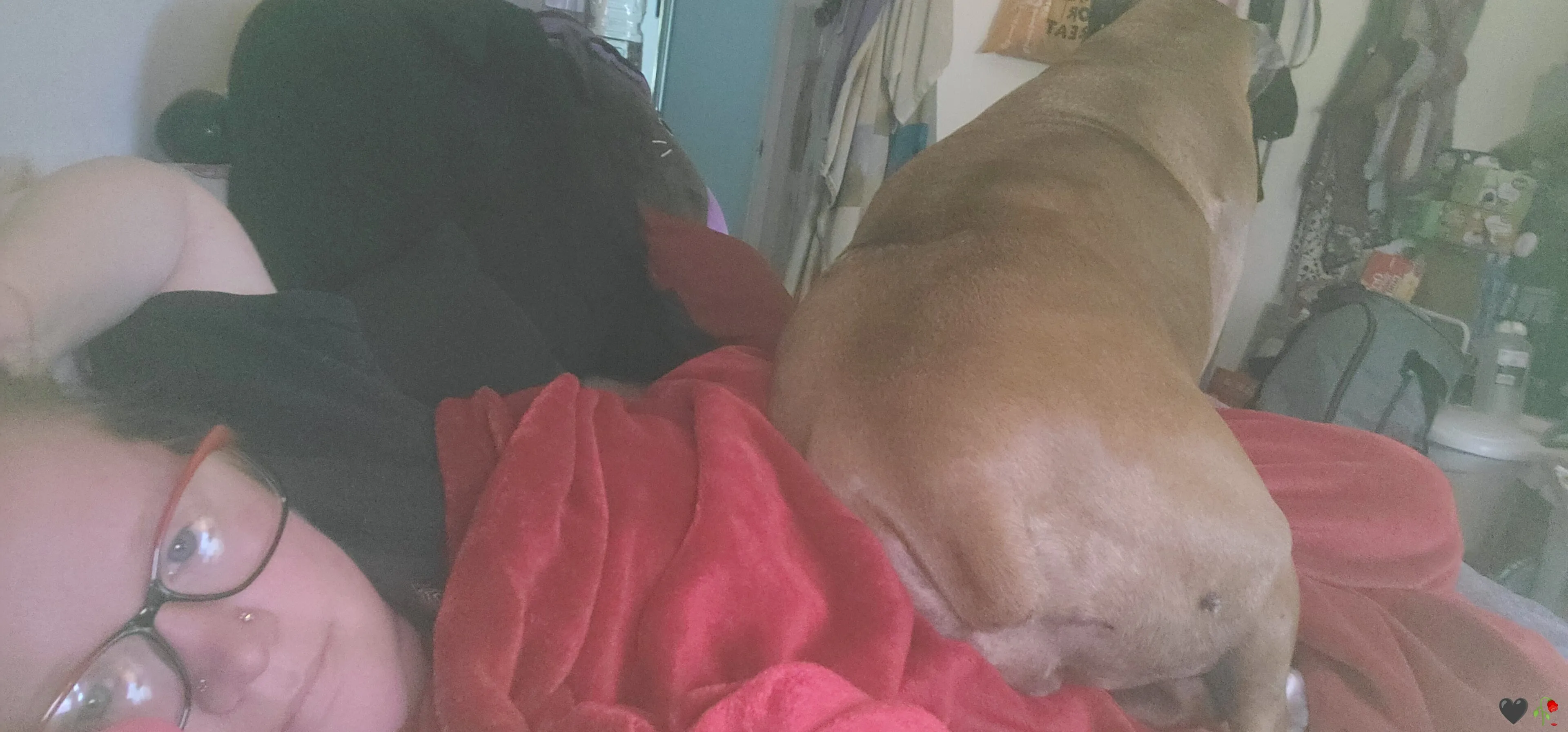 Marie OnlyFans free account photo 28 - svenus84 nudes and sex tapes