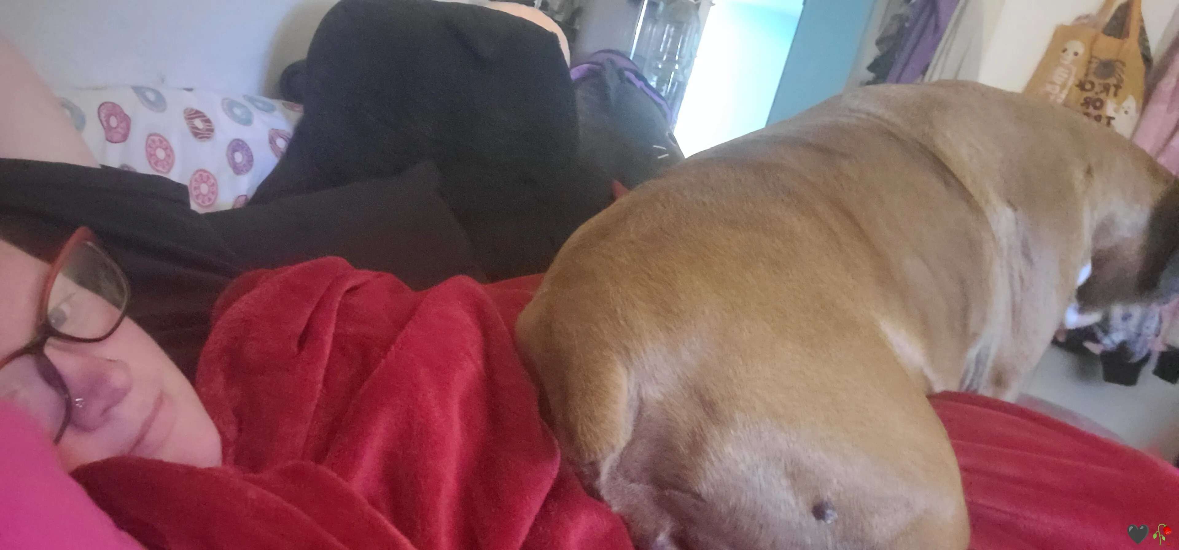 Marie OnlyFans free account photo 27 - svenus84 nudes and sex tapes