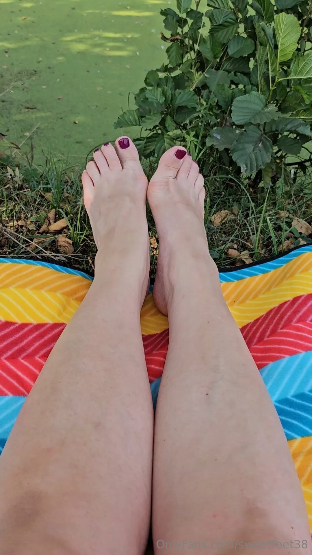 FeetPleasure OnlyFans free account photo 13 - sweetfeet38 nudes and sex tapes