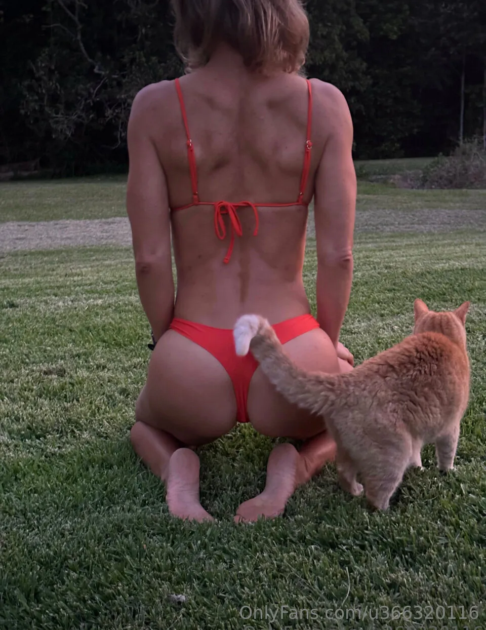 bareallwithme OnlyFans free account photo 2 - u366320116 nudes and sex tapes