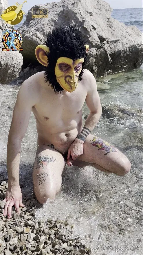 Waffle The  Ape 🐵 OnlyFans free account photo 13 - waffletheape nudes and sex tapes