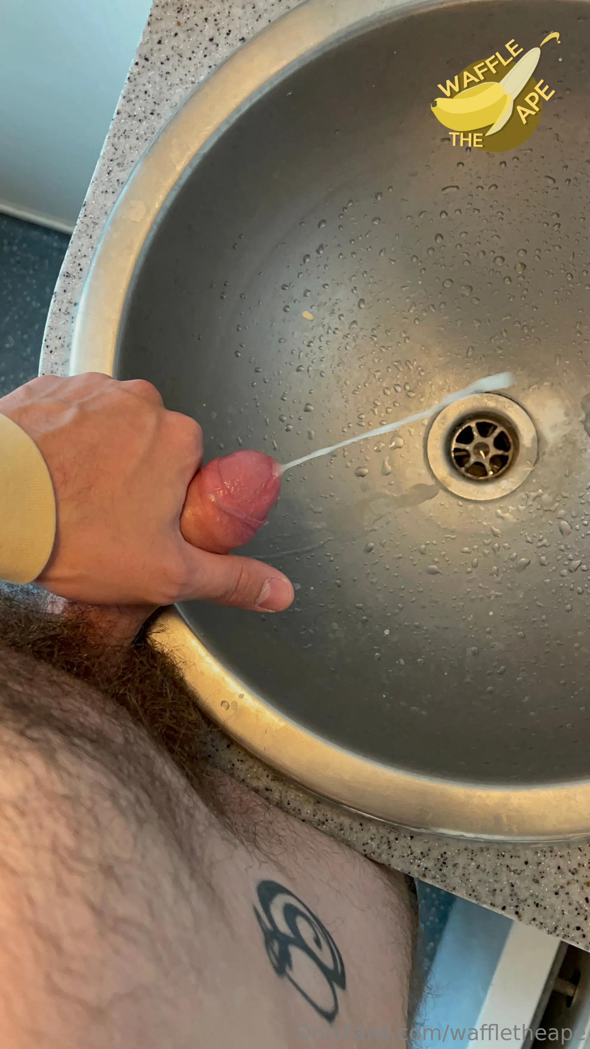 Waffle The  Ape 🐵 OnlyFans free account photo 7 - waffletheape nudes and sex tapes