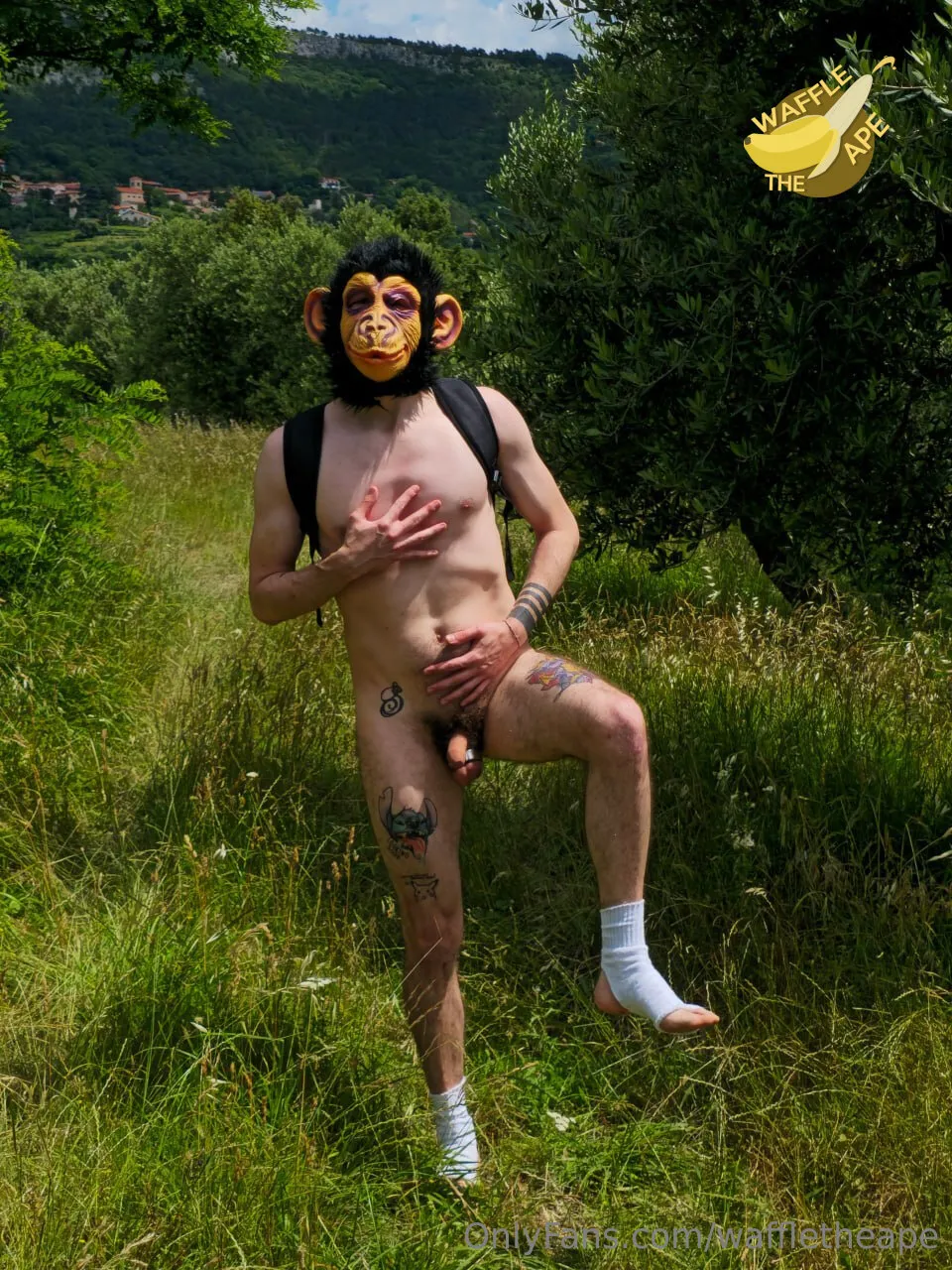 Waffle The  Ape 🐵 OnlyFans free account photo 4 - waffletheape nudes and sex tapes