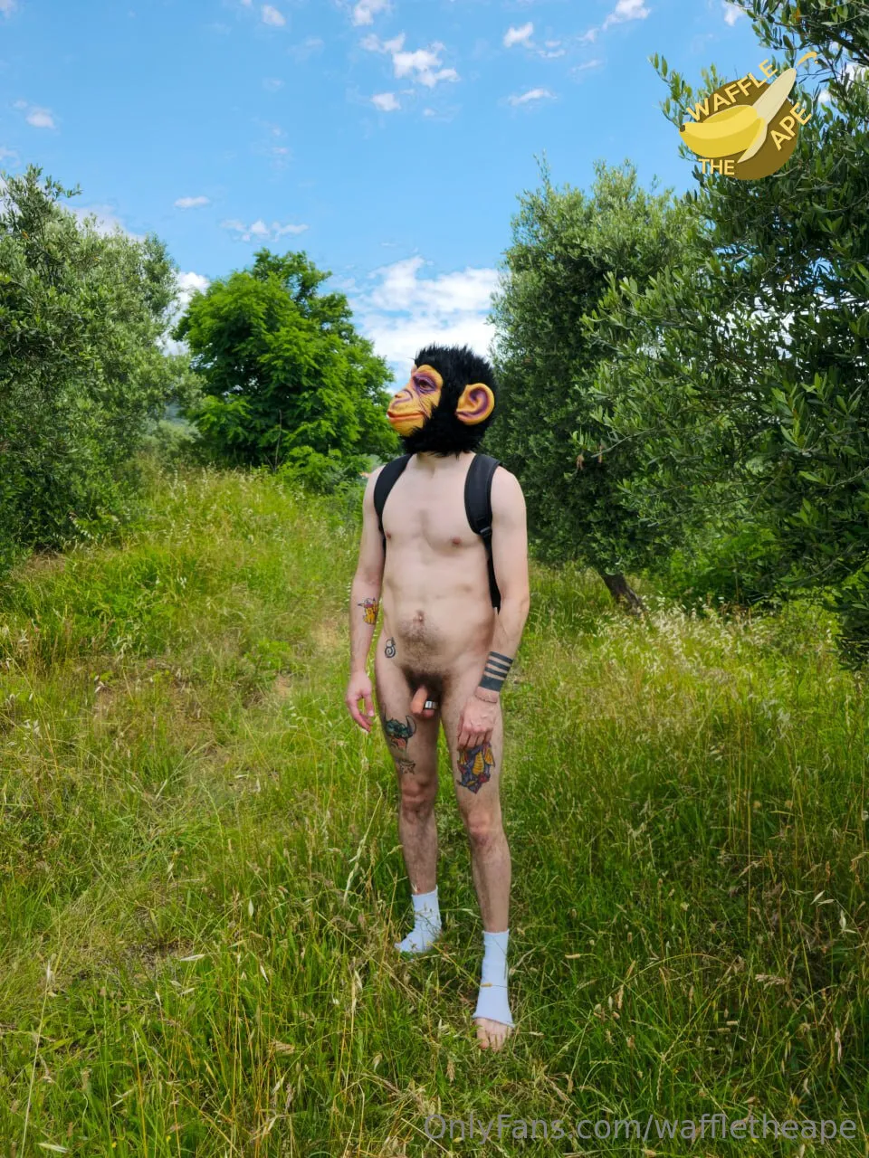 Waffle The  Ape 🐵 OnlyFans free account photo 3 - waffletheape nudes and sex tapes