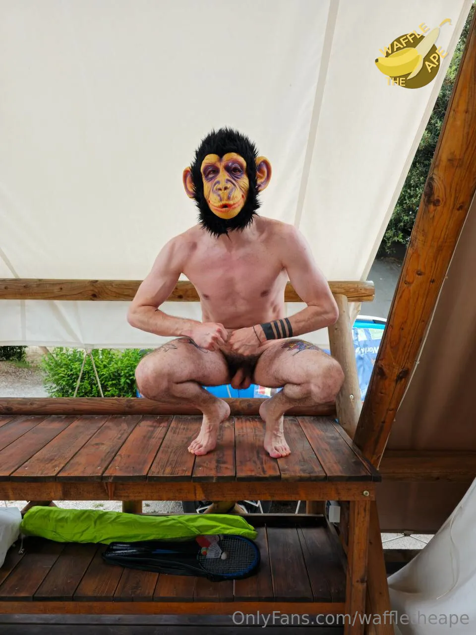 Waffle The  Ape 🐵 OnlyFans free account photo 2 - waffletheape nudes and sex tapes