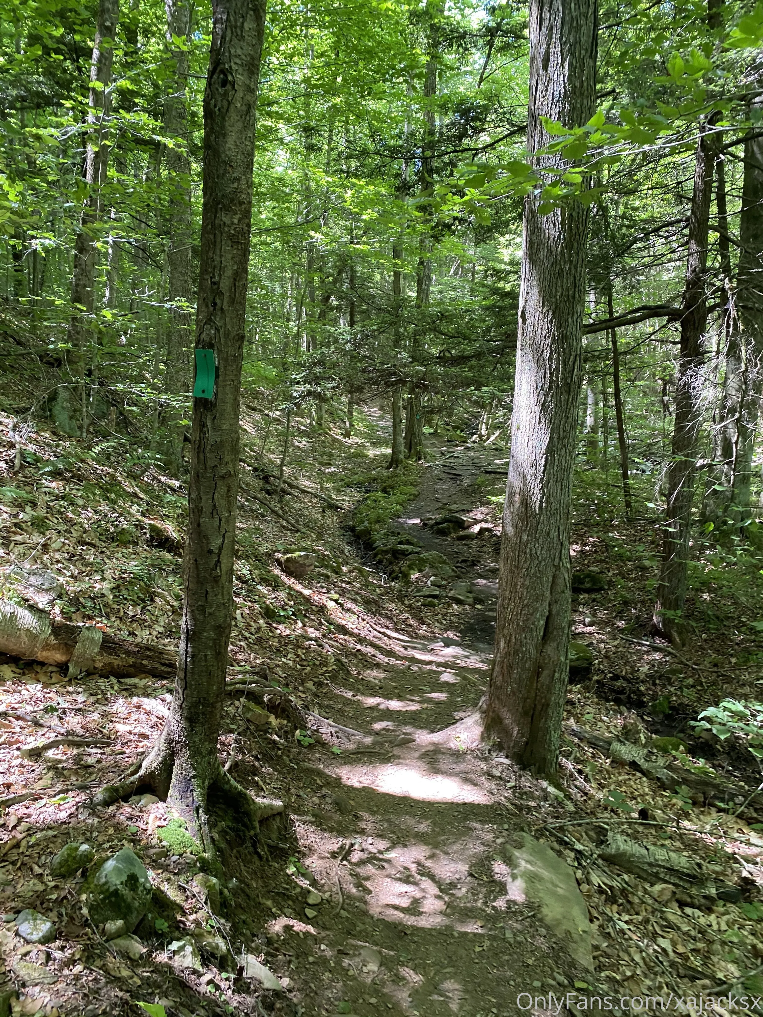 Wanderbout360 OnlyFans free account photo 11 - wanderbout360art nudes and sex tapes