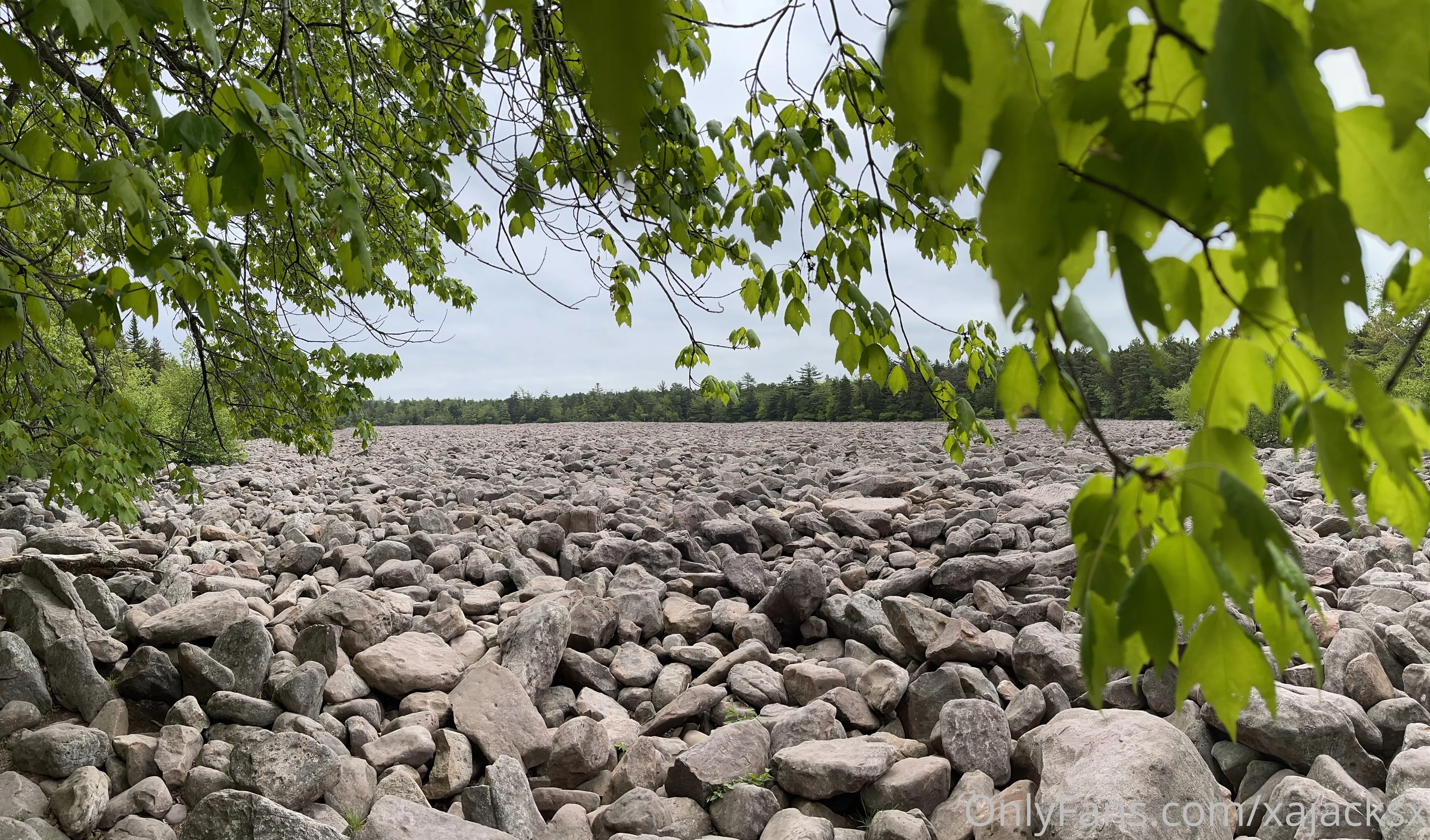 Wanderbout360 OnlyFans free account photo 9 - wanderbout360art nudes and sex tapes