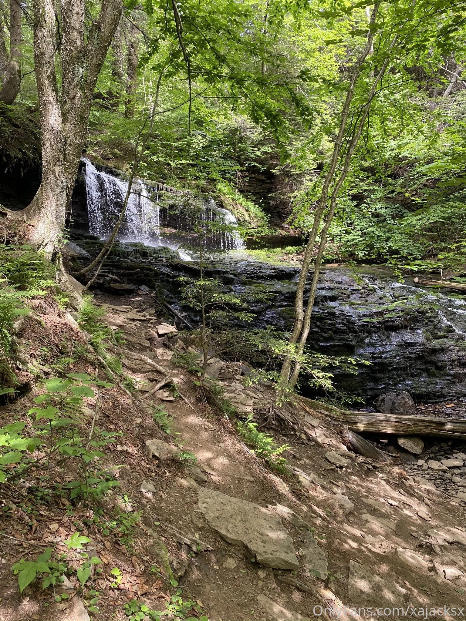 Wanderbout360 OnlyFans free account photo 7 - wanderbout360art nudes and sex tapes