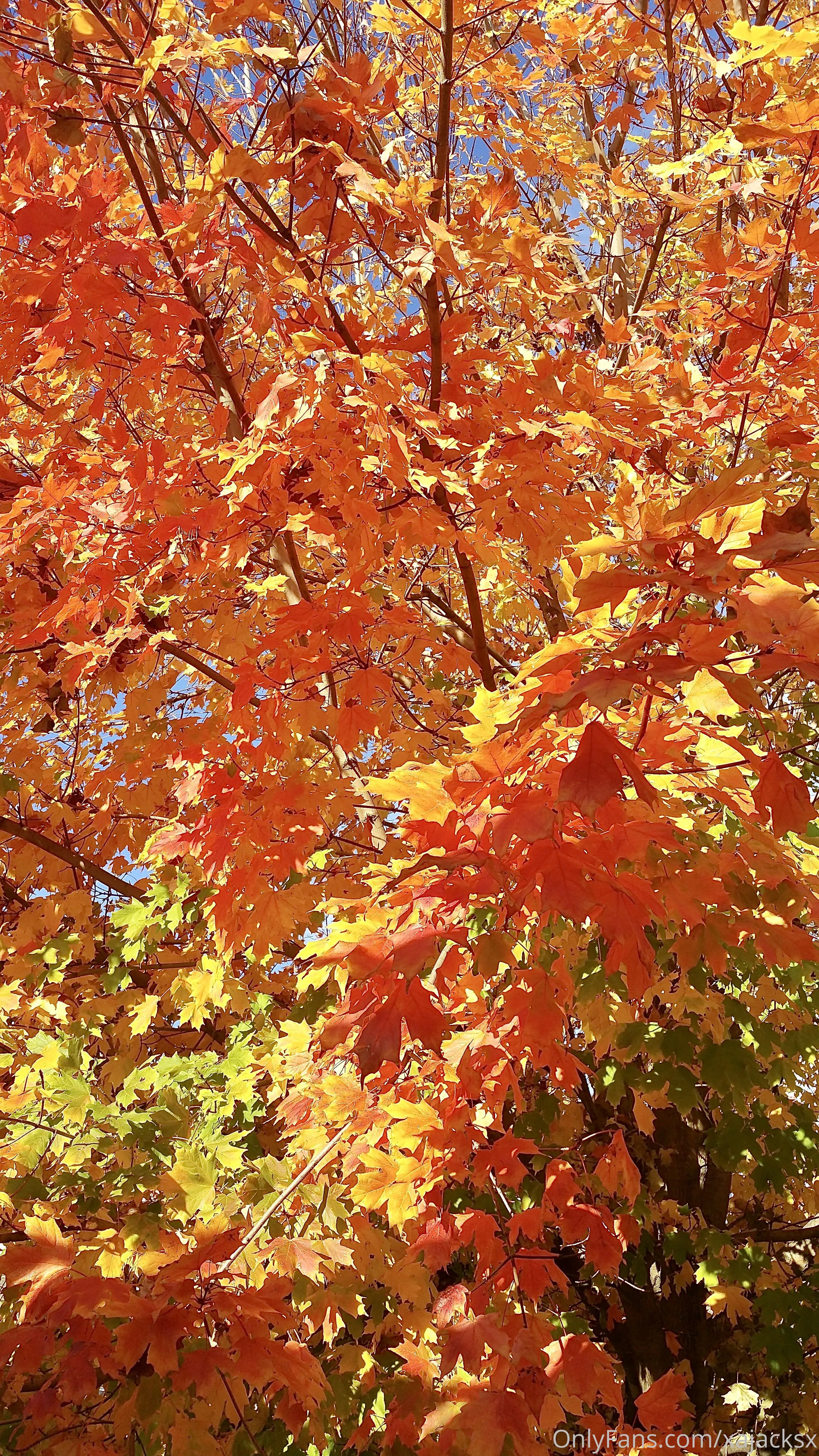 Wanderbout360 OnlyFans free account photo 5 - wanderbout360art nudes and sex tapes