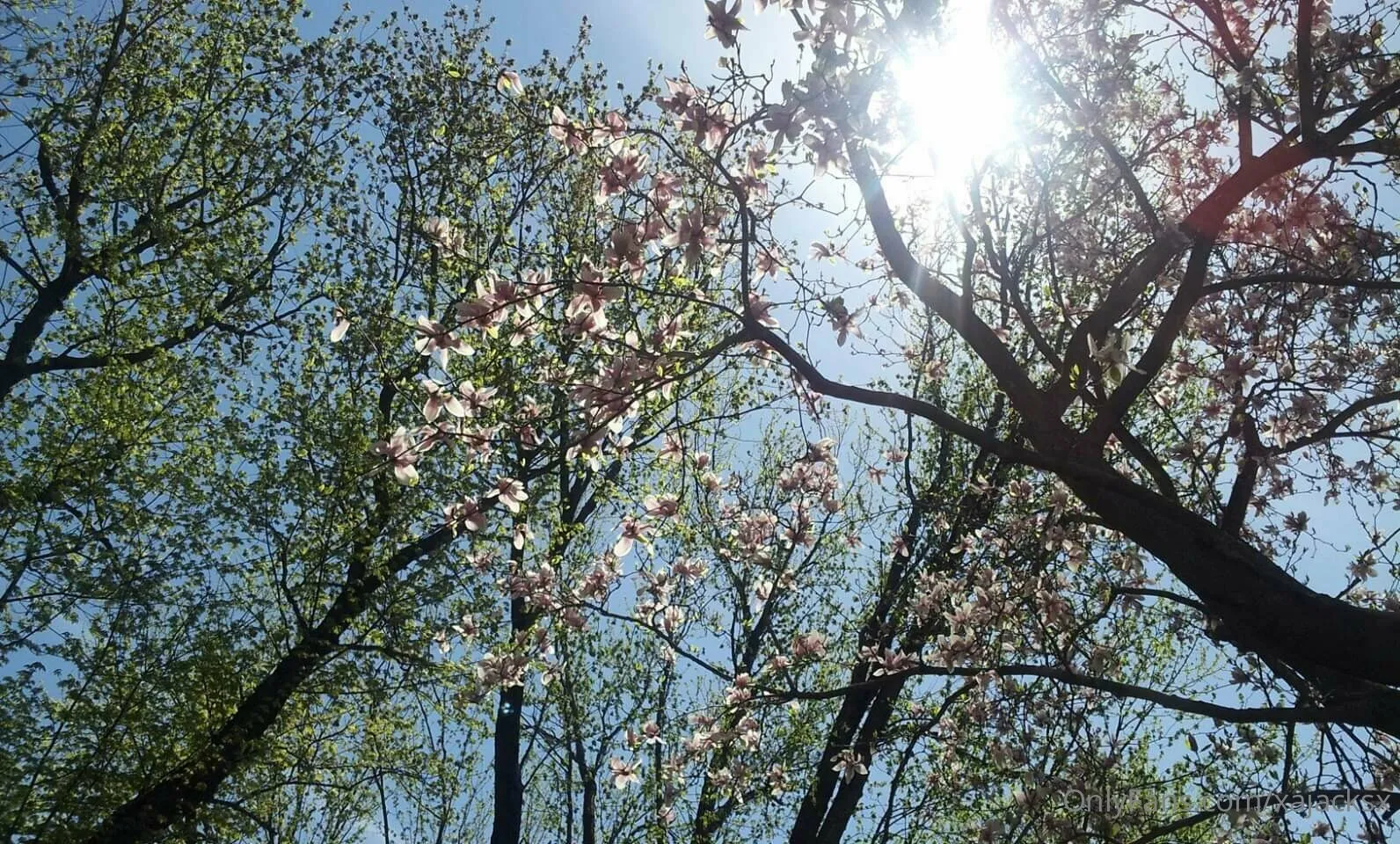 Wanderbout360 OnlyFans free account photo 4 - wanderbout360art nudes and sex tapes