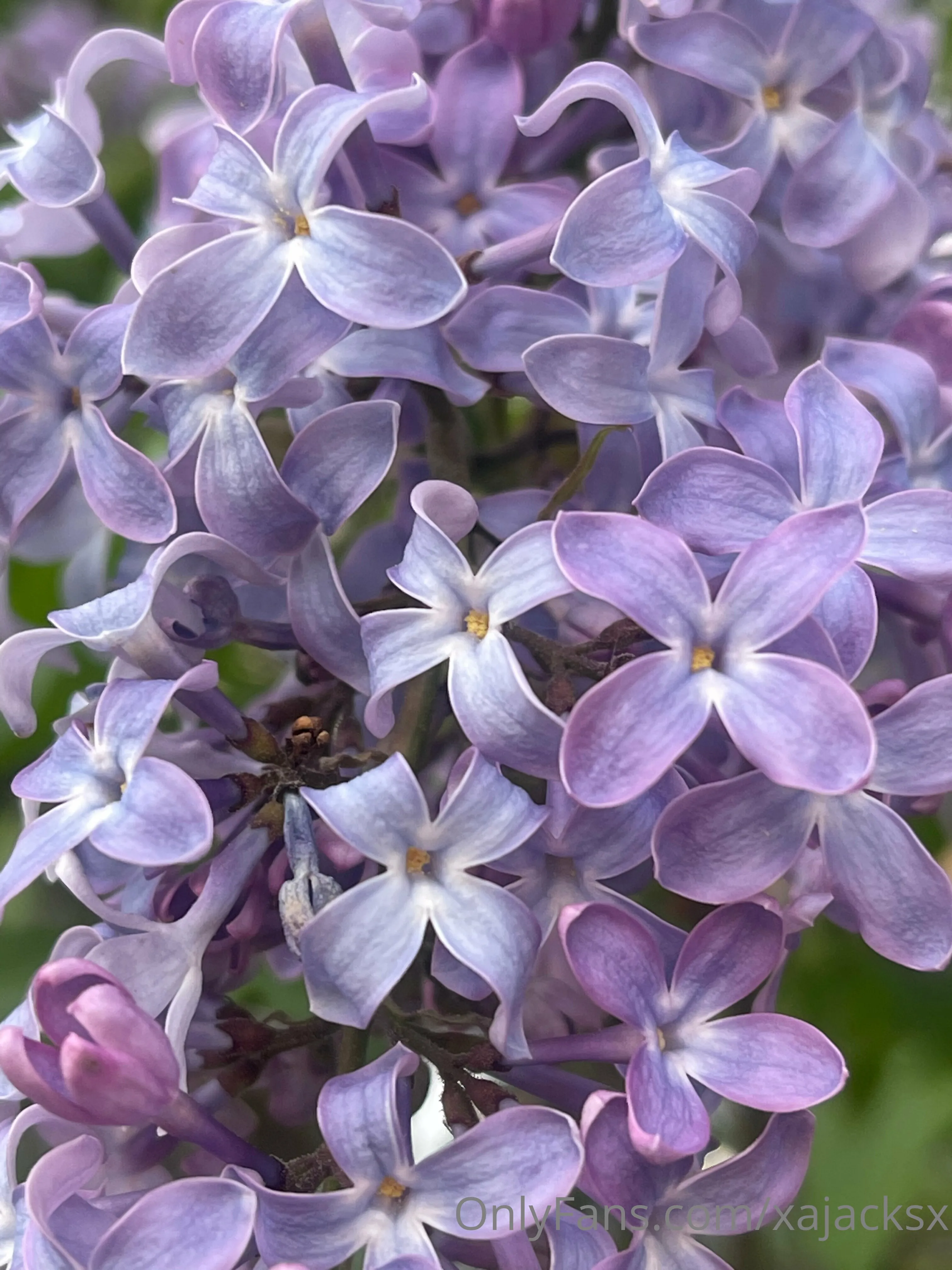 Wanderbout360 OnlyFans free account photo 3 - wanderbout360art nudes and sex tapes