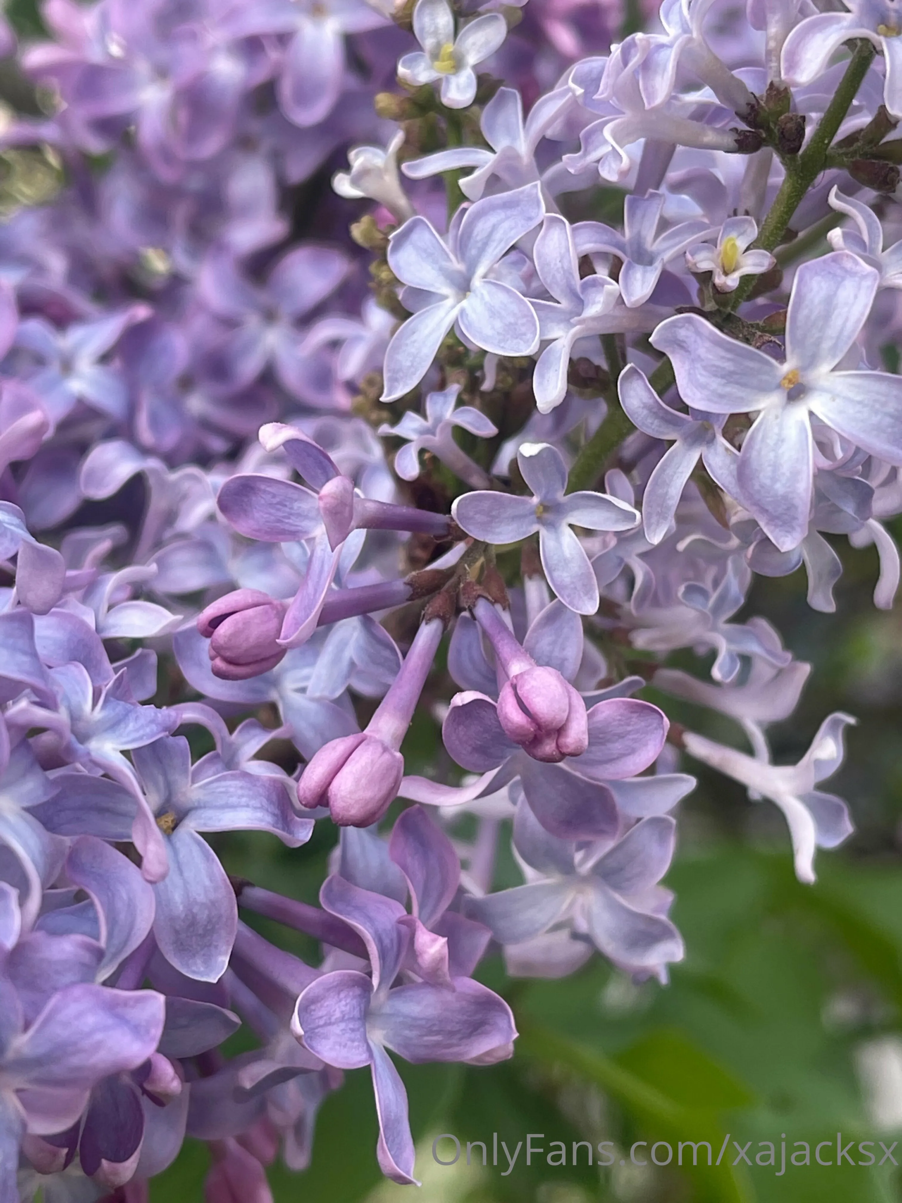 Wanderbout360 OnlyFans free account photo 2 - wanderbout360art nudes and sex tapes