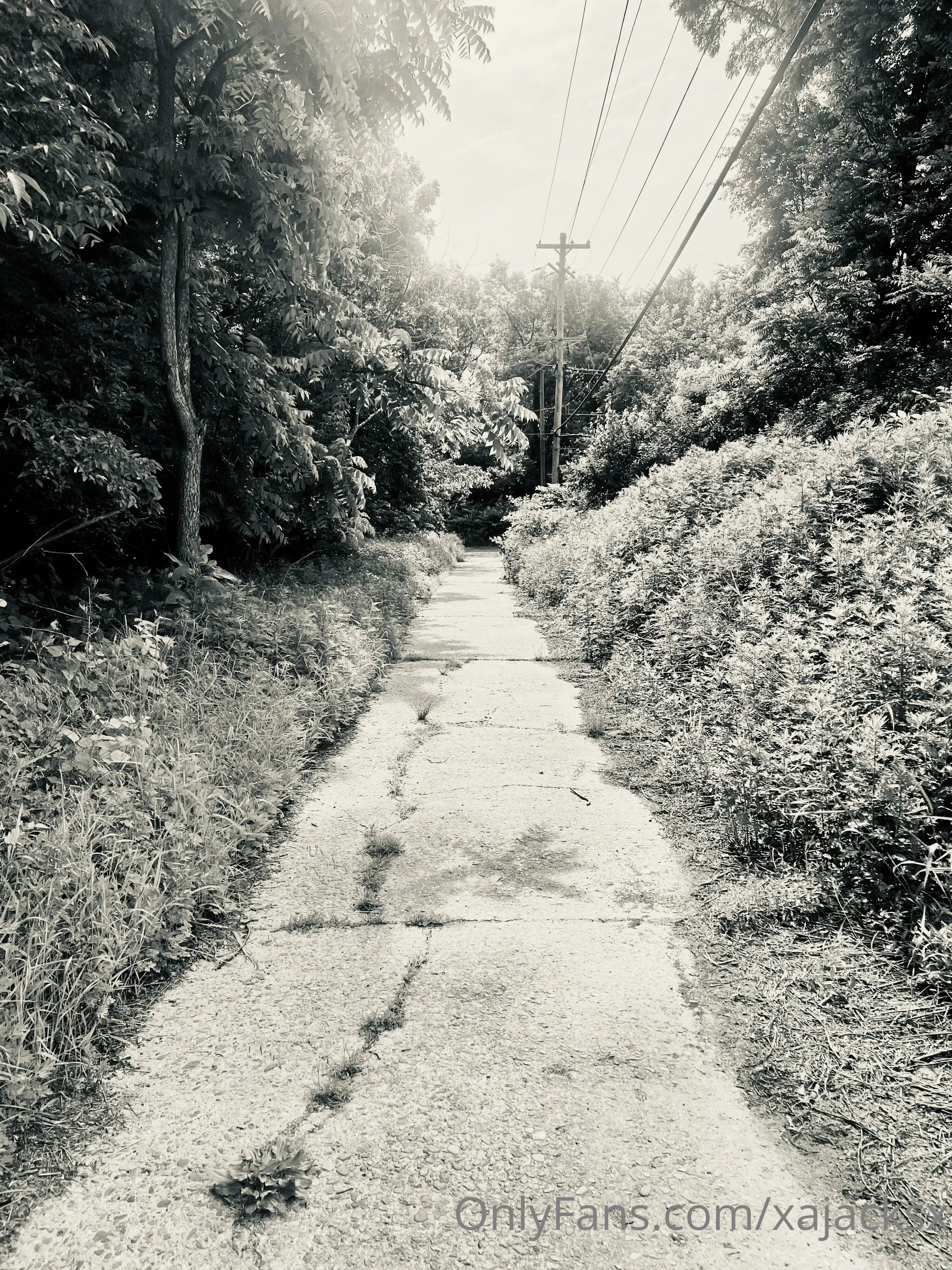 Wanderbout360 OnlyFans free account photo 1 - wanderbout360art nudes and sex tapes