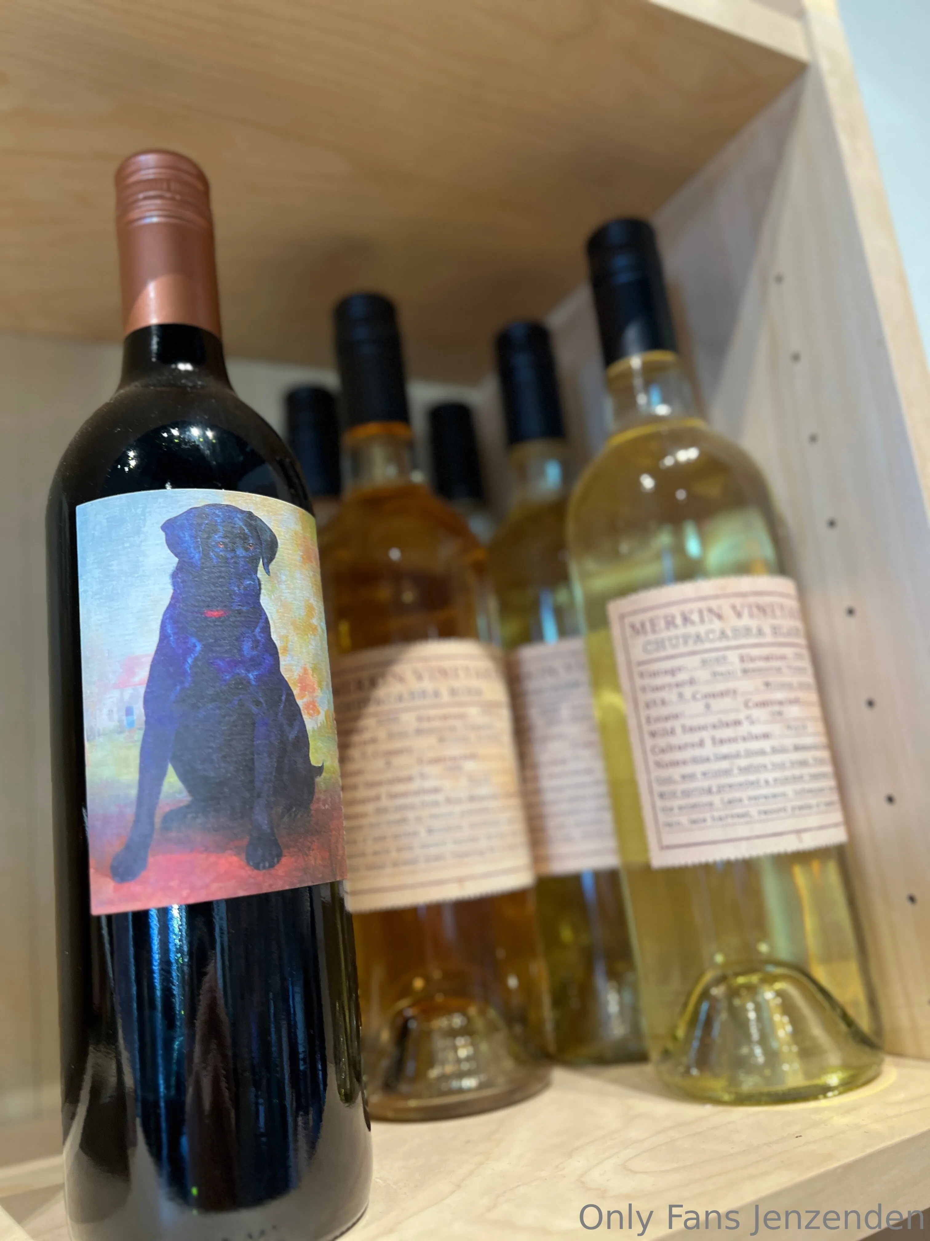 Zendenjen OnlyFans free account photo 24 - zendenjen69 nudes and sex tapes