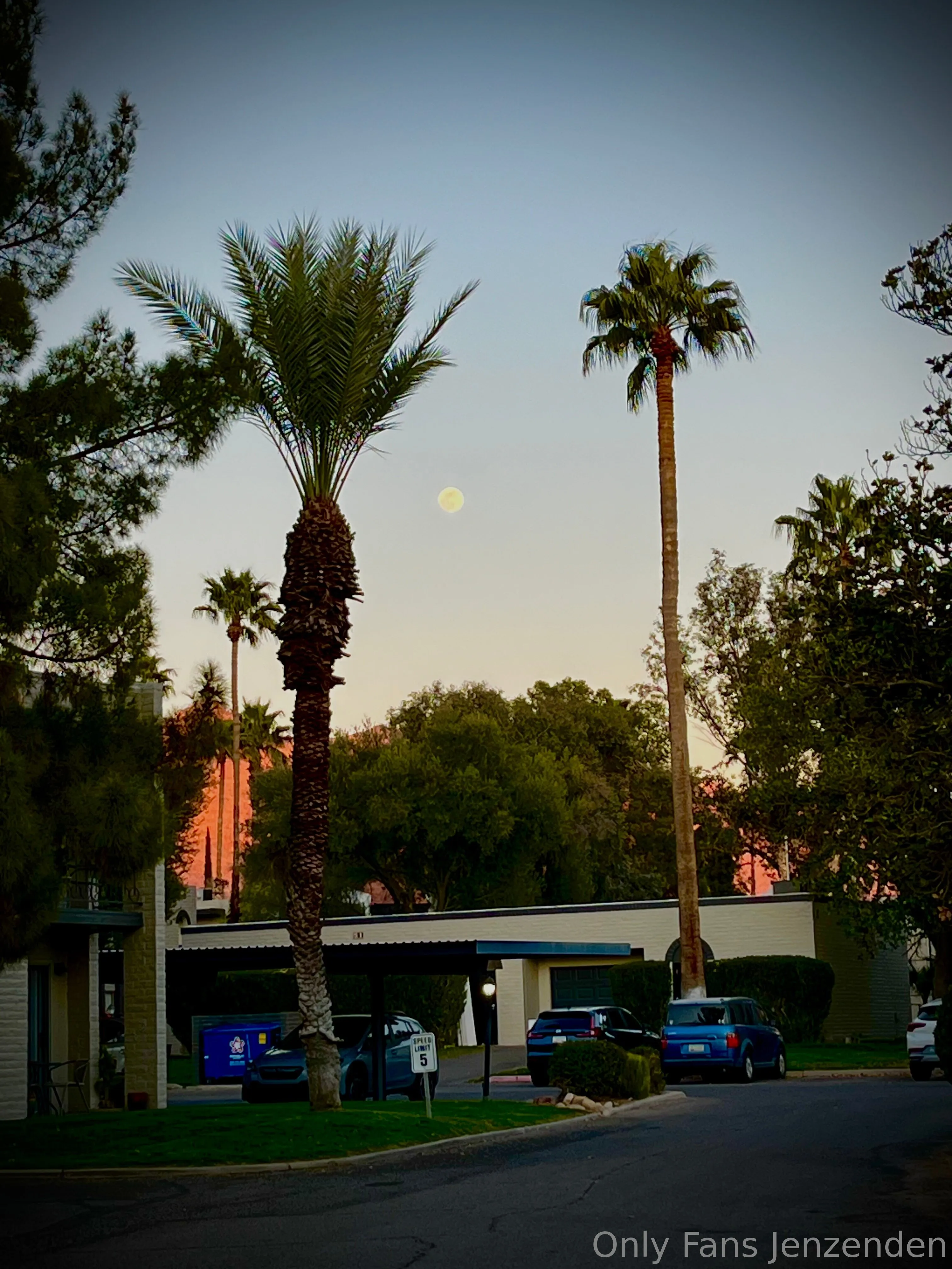 Zendenjen OnlyFans free account photo 23 - zendenjen69 nudes and sex tapes